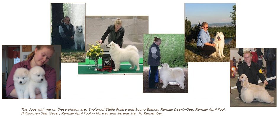 Jenni and dogs