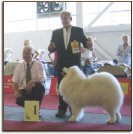 Euro Dog Show 2007 BOB