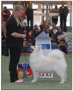 Ronja, 4v