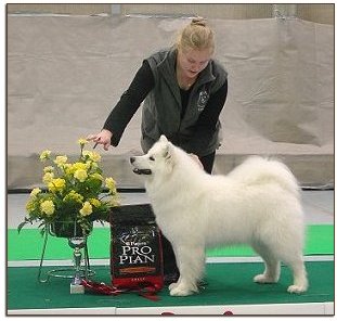 Ronja RYP 3